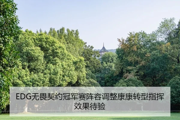 EDG无畏契约冠军赛阵容调整康康转型指挥效果待验